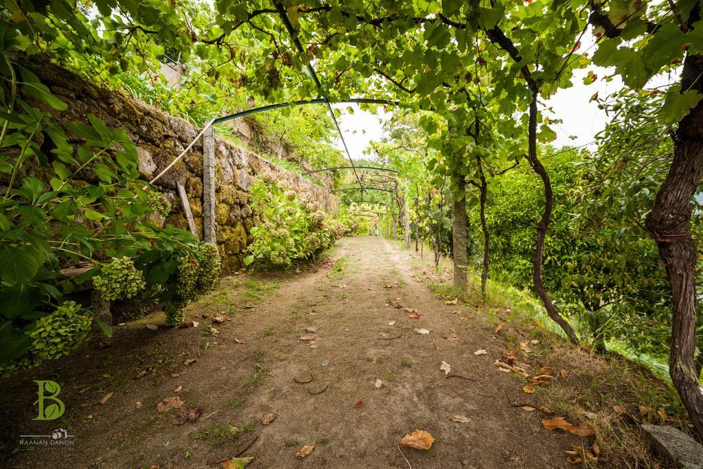 Quinta Da Bouca - Agroturismo Pacos de Gaiolo Szoba fotó