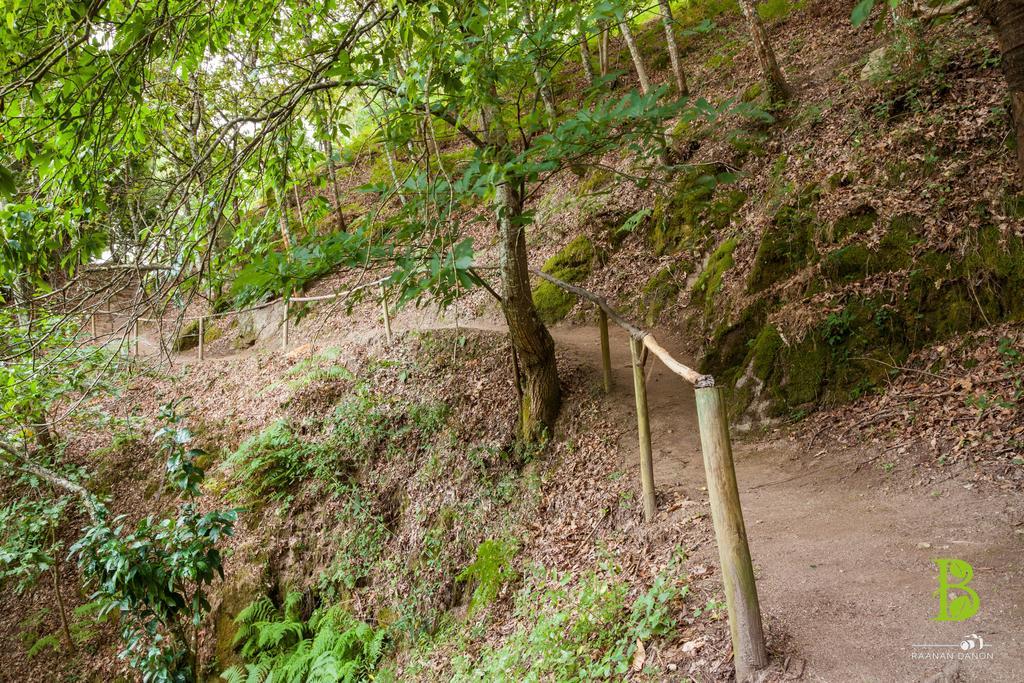 Quinta Da Bouca - Agroturismo Pacos de Gaiolo Szoba fotó